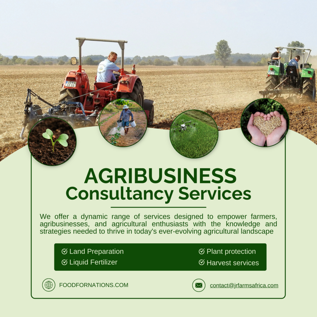 Agribusiness Consultancy For African Market | Advisory